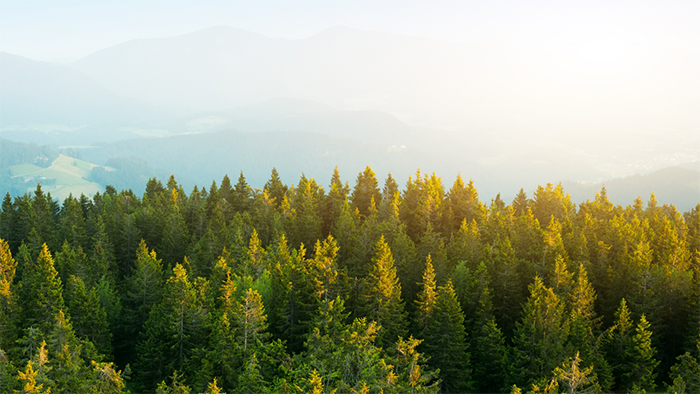 w66最给利的老牌_利来w66ag旗舰厅