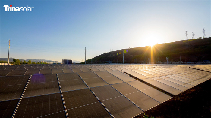 w66最给利的老牌_利来w66ag旗舰厅